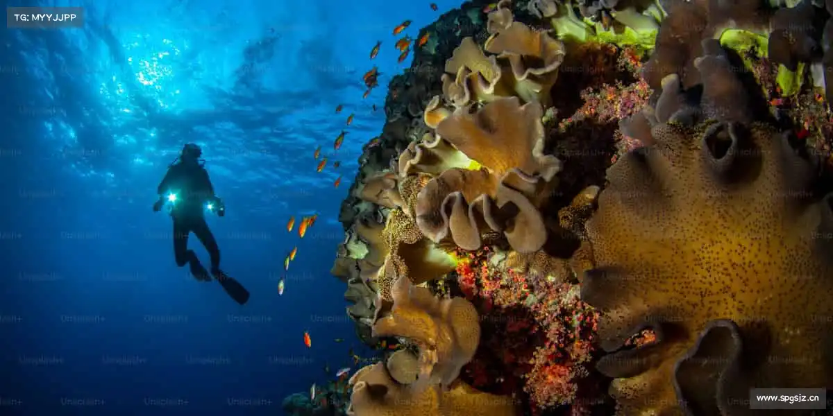 为什么选择我们